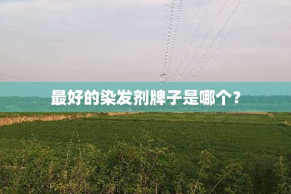 最好的染发剂牌子是哪个？