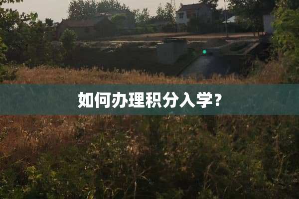 如何办理积分入学？