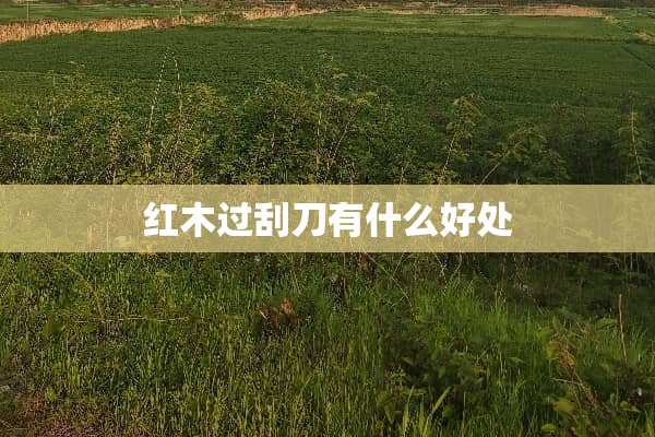 红木过刮刀有什么好处