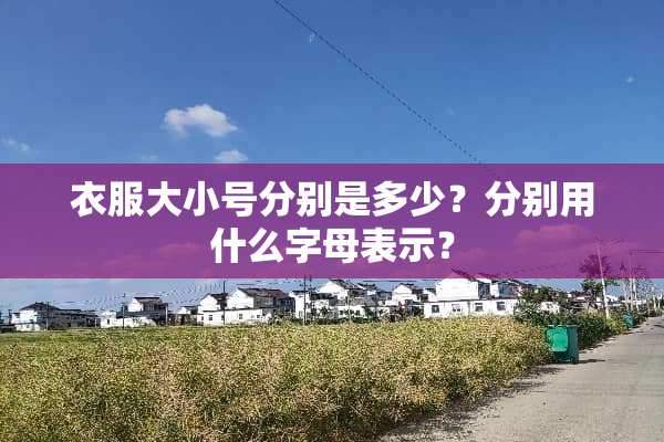 衣服大小号分别是多少？分别用什么字母表示？