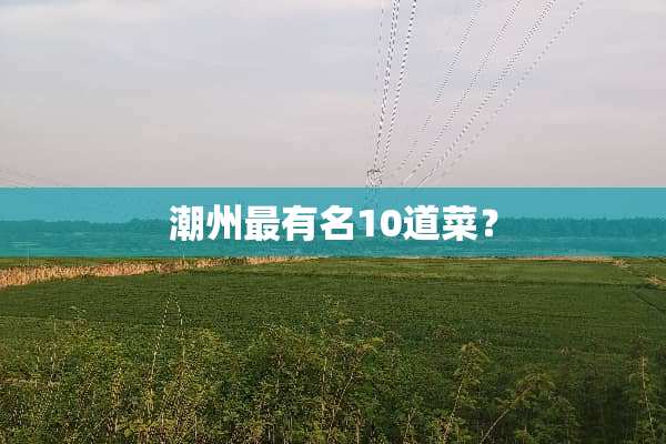 潮州最有名10道菜？