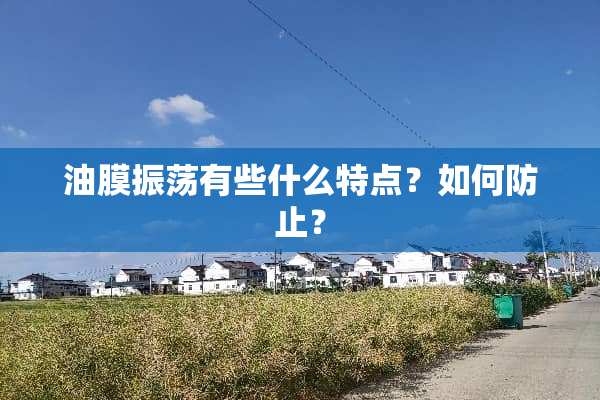 油膜振荡有些什么特点？如何防止？