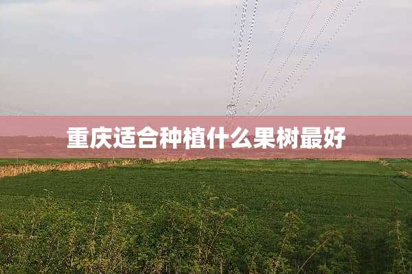 重庆适合种植什么果树最好