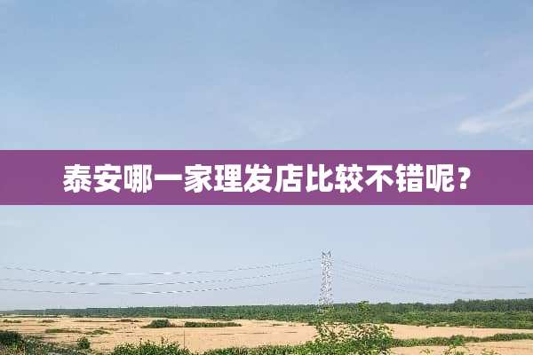 **哪一家理发店比较不错呢？