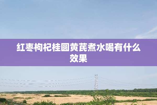 红枣枸杞桂圆黄芪煮水喝有什么效果