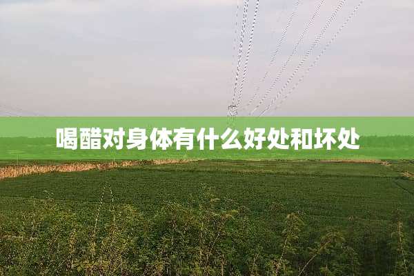 喝醋对身体有什么好处和坏处