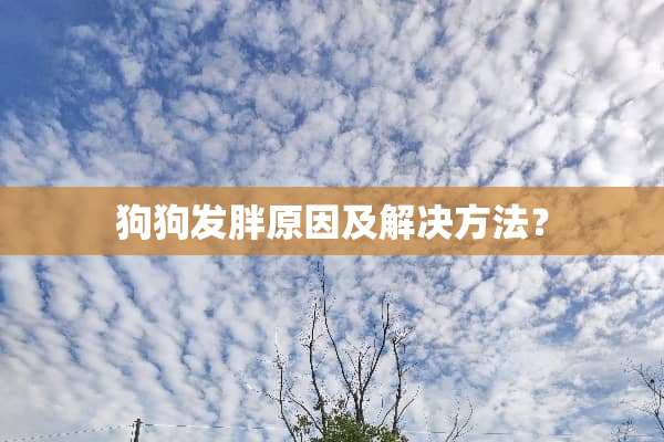 狗狗发胖原因及解决方法？
