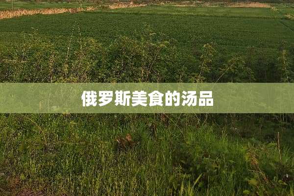 俄罗斯美食的汤品