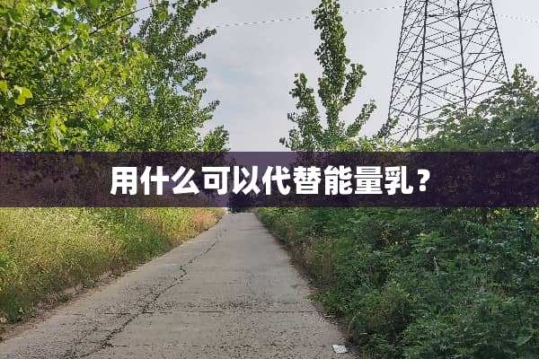 用什么可以代替能量*？