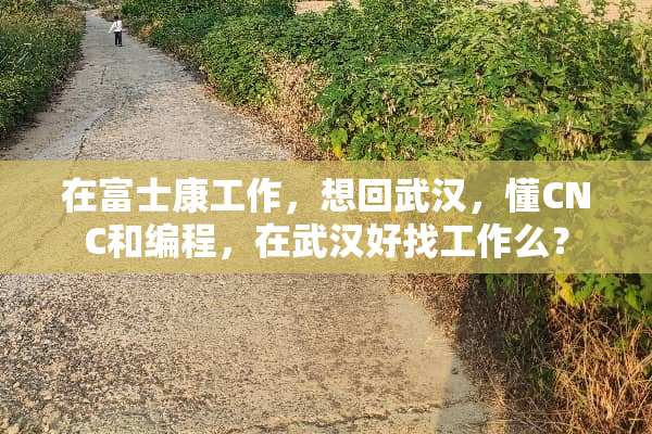 在富士康工作，想回武汉，懂CNC和编程，在武汉好找工作么？