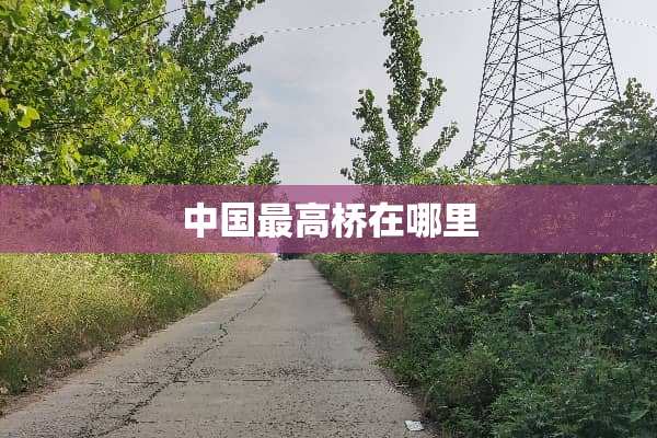 中国最高桥在哪里