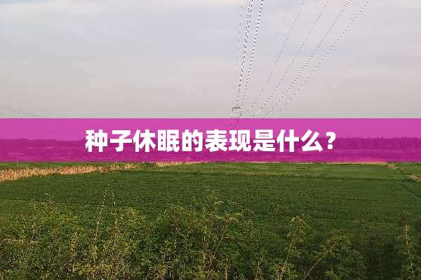种子休眠的表现是什么？