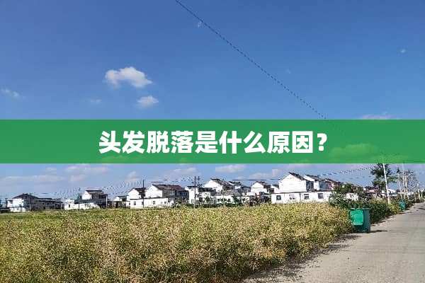 头发脱落是什么原因？