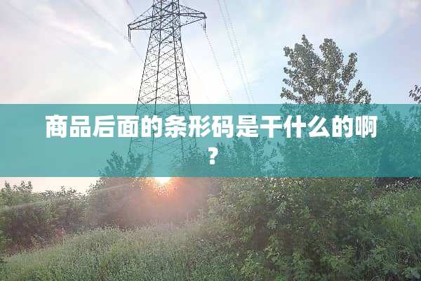 商品后面的条形码是干什么的啊？