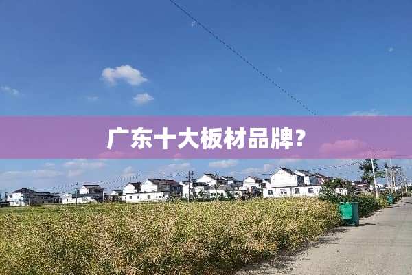 广东十大板材品牌？