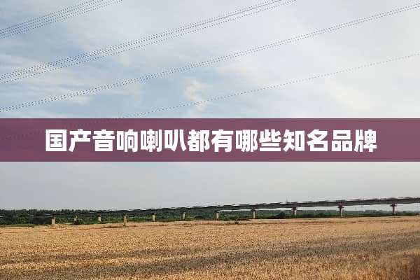 国产音响喇叭都有哪些知名品牌