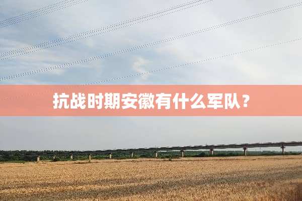 抗战时期安徽有什么**？