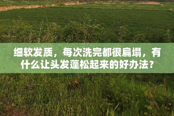 细软发质，每次洗完都很扁塌，有什么让头发蓬松起来的好办法？