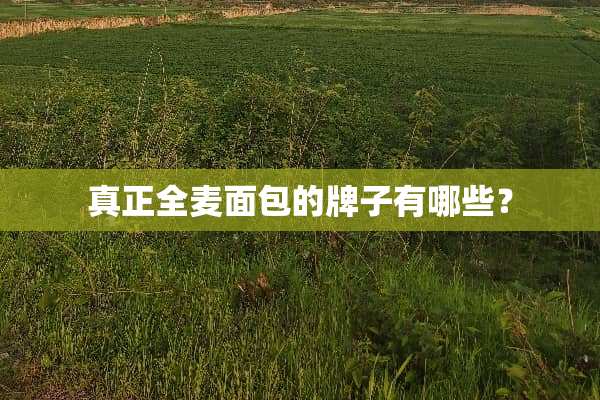 真正全麦面包的牌子有哪些？