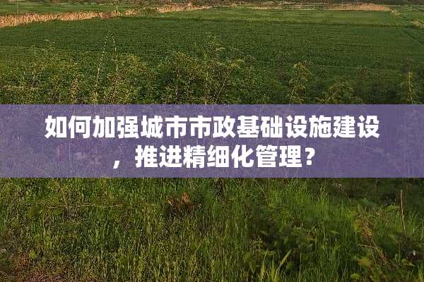 如何加强城市市政基础设施建设，推进精细化管理？