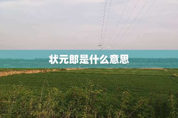 状元郎是什么意思