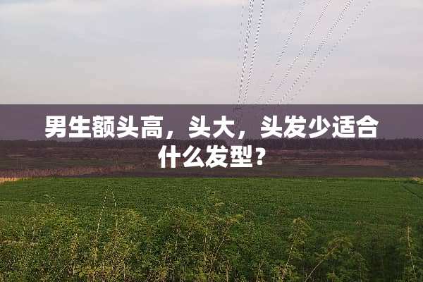 男生额头高，头大，头发少适合什么发型？