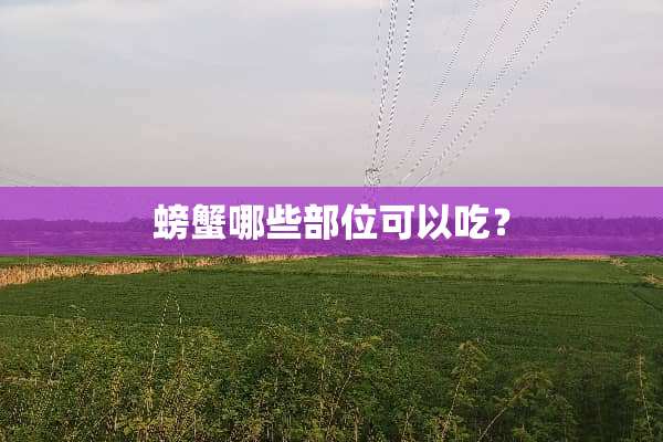 螃蟹哪些部位可以吃？