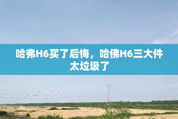 哈弗H6买了后悔，哈佛H6三大件太垃圾了