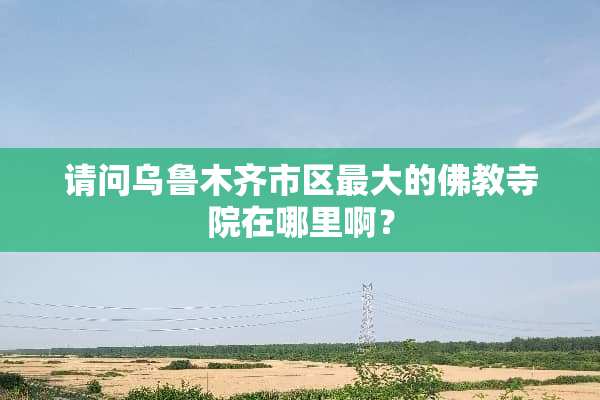 请问乌鲁木齐市区最大的佛教寺院在哪里啊？