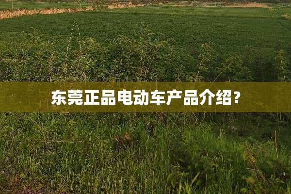 东莞正品电动车产品介绍？