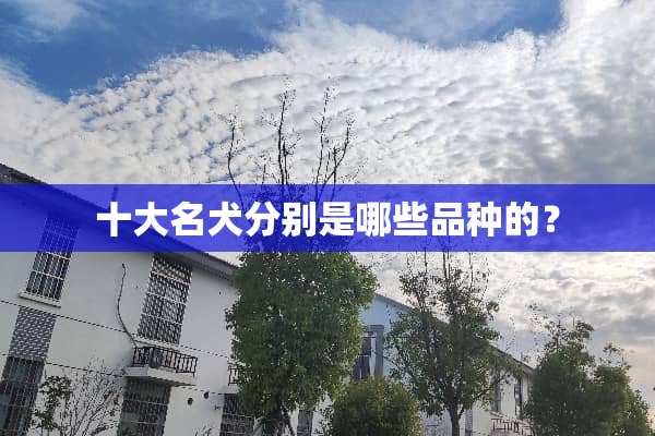 十大名犬分别是哪些品种的？
