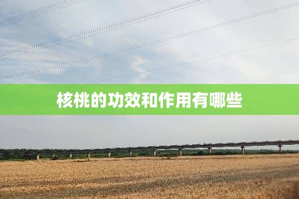 核桃的功效和作用有哪些