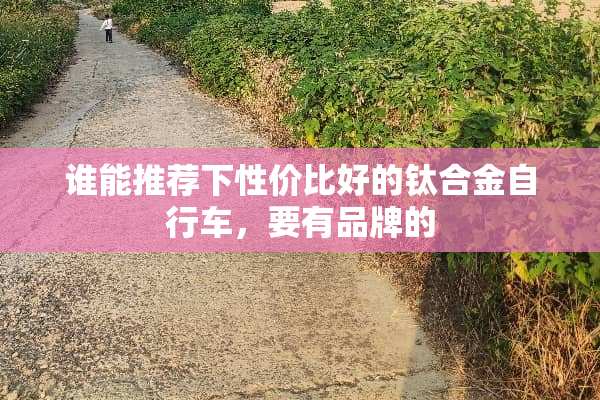 谁能推荐下性价比好的钛合金自行车，要有品牌的