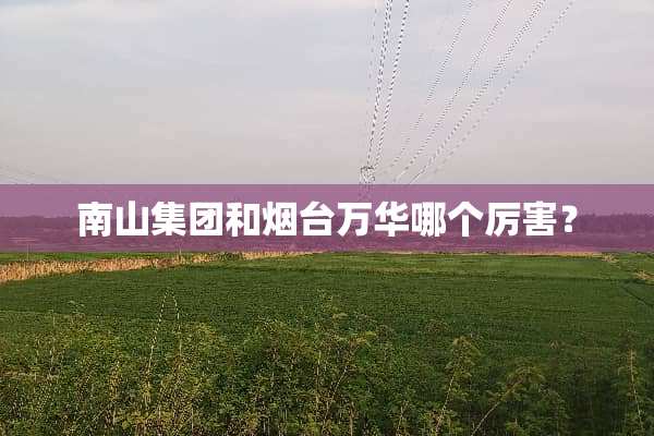 南山集团和烟台万华哪个厉害？