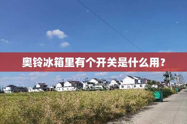 奥铃冰箱里有个开关是什么用？