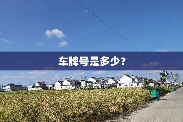 ***是多少？