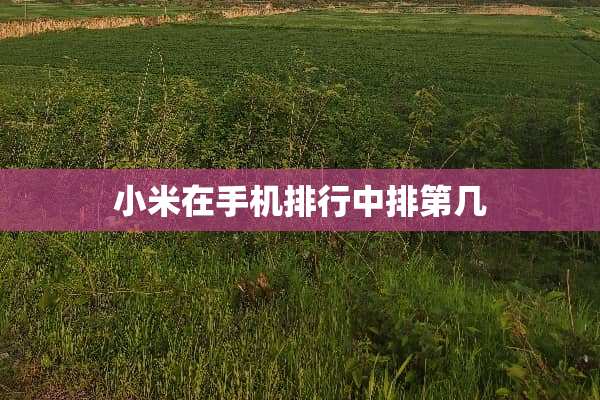 小米在手机排行中排第几