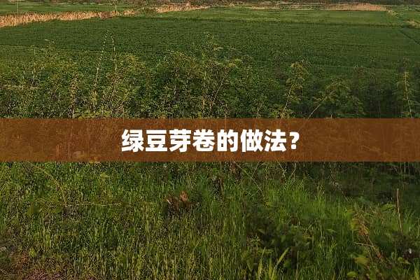 绿豆芽卷的做法？