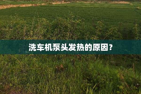 洗车机泵头发热的原因？