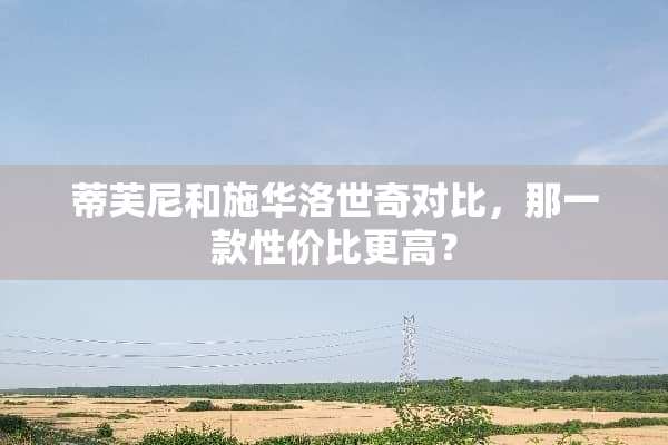 蒂芙尼和施华洛世奇对比，那一款性价比更高？