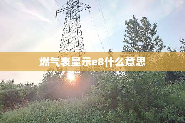 燃气表显示e8什么意思
