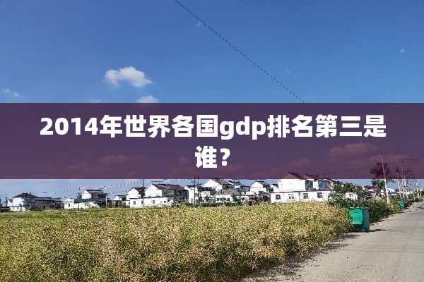 2014年世界各国gdp排名第三是谁？