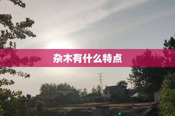 杂木有什么特点