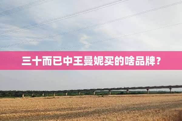 三十而已中王曼妮买的啥品牌？