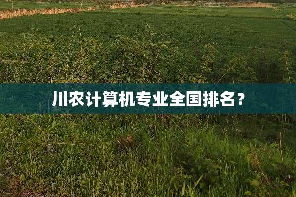 川农计算机专业全国排名？