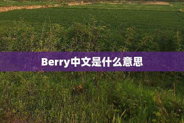 Berry中文是什么意思