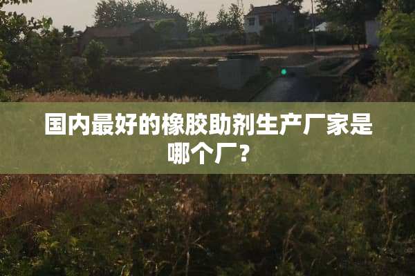 国内最好的橡胶助剂生产厂家是哪个厂？