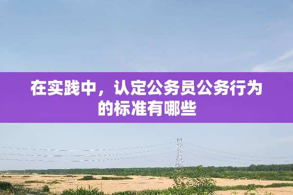 在实践中，认定公务员公务行为的标准有哪些