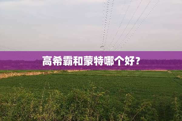 高希霸和蒙特哪个好？