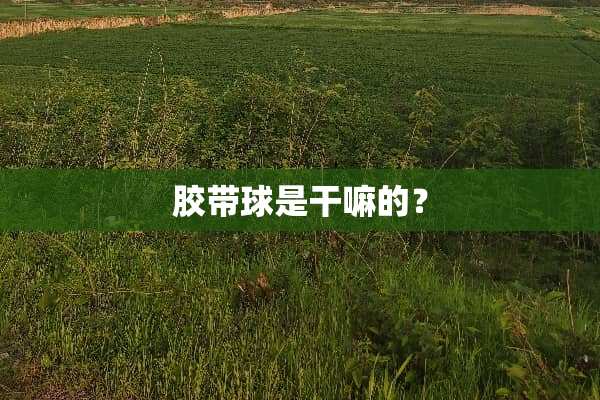 胶带球是干嘛的？
